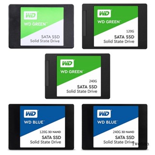 Iwo โซลิดสเตทไดรฟ์ ภายใน 240G สําหรับ WD Green Blue 3D NAND PC SSD - III 6 Gb s 2 5 7 มม. ถึง 560 MB s