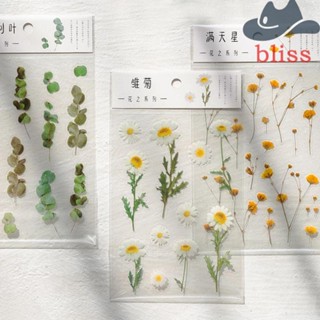 BLISS สติกเกอร์ PET ลายดอกเดซี่ สําหรับตกแต่งบ้าน