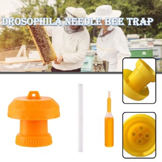 Fruit Fly Bottle Top Trap Reusable Outdoor Fly Killer Trap Catcher with Bait