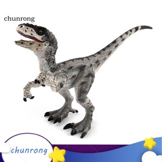 Chunrong โมเดลฟิกเกอร์ Velociraptor Dinosaur เสมือนจริง ของเล่น สําหรับสะสม ตกแต่งโต๊ะ