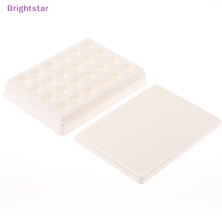 Brightstar Lab ใหม่ จานผสมน้ํา พลาสติก 24 ช่อง สําหรับห้องปฏิบัติการ