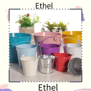 Ethel1 กระถางต้นไม้ แบบโลหะ สําหรับแขวนตกแต่งสวน