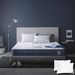 SB Design Square ที่นอน Dunlopillo รุ่น Dream Power ขนาด 5 ฟุต แถมฟรีหมอนหนุน 2 ใบ (152 x 198 x 30.48 ซม.)