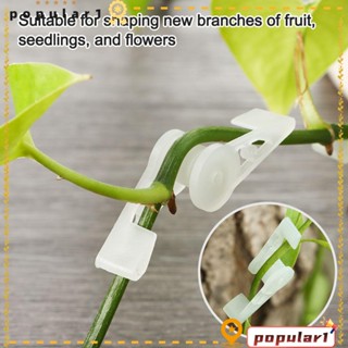 [POPULAR] Garden Decoration Reuseable LST Clips Potted Plants Low Stress Plant Training 90 Degree Plant Bender Avoid Crowding Easy to Use Multi Functions Houseplant Control The Growth