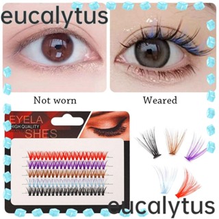 Eucalytus1 ขนตาปลอม หนา 30D แต่งคอสเพลย์ พร้อมสี