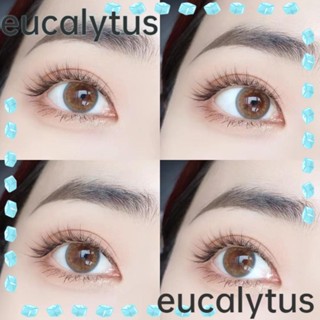 Eucalytus1 ขนตาปลอม เส้นใยสังเคราะห์ 7 ชิ้น 20 ชิ้น สําหรับผู้เริ่มต้น DIY