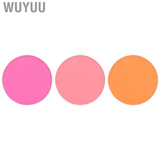 Wuyuu Eyeshadow   Easy To Color Fine High Saturation Gentle Texture  Pigments for Makeup