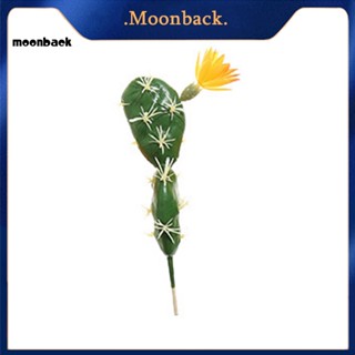 &lt;moonback&gt; พืชอวบน้ําปลอม พลาสติก ขนาดเล็ก สําหรับตกแต่งโต๊ะ