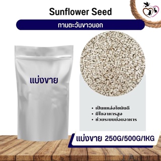 ทานตะวันขาวนอก White Sunflower อาหารนก กระต่าย หนู กระต่าย กระรอก ชูก้า และสัตว์ฟันแทะ (แบ่งขาย 250G / 500G / 1KG)