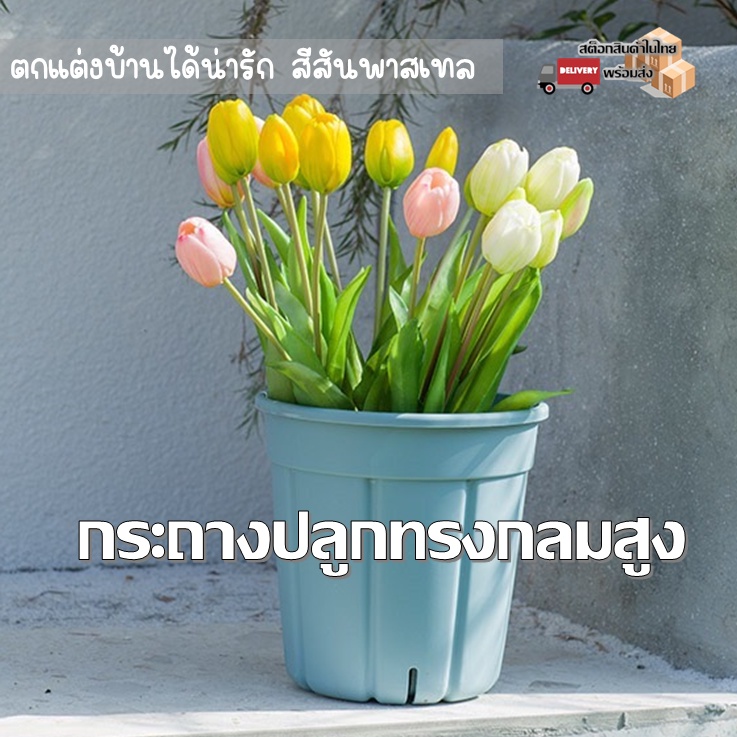 กระถางต้นไม้สีสันพาสเทล กระถางพลาสติกแข็งแรง (NG)
