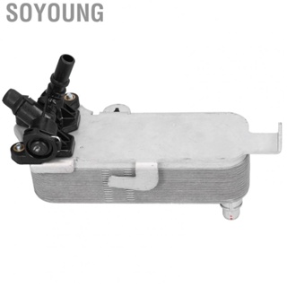 Soyoung Transmission Oil Cooler Heat Exchanger 17217600553 Replace for F31 F30 320i 328i F32 F33 428i