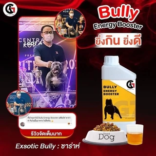 อาหารเสริมสุนัข วิตามินหมา แมว อาหารบำรุงสุนัข แมว G7 Energy Booster