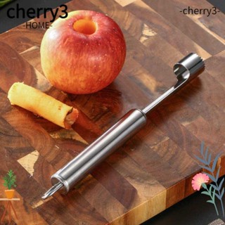 Cherry3 อุปกรณ์เจาะแกนผลไม้ ลูกแพร์ แบบสเตนเลส สําหรับห้องครัว