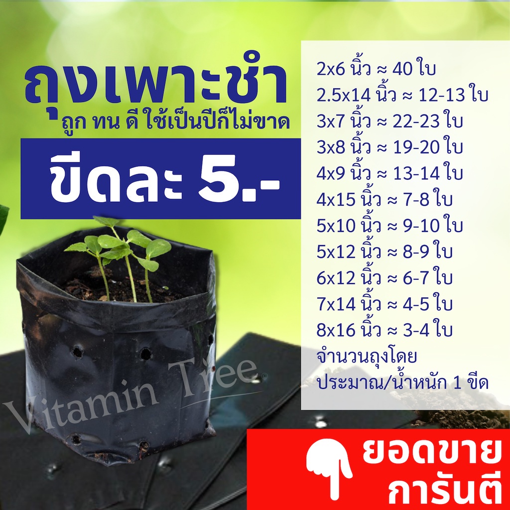 ถุงเพาะชำ ขีดละ 5บาท เนื้อมัน เหนียว หนา ถูกที่สุด คุณภาพดี มีทุกขนาด 100 กรัม