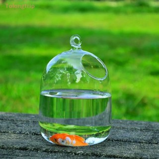 Tolongtrip&gt; แจกันแก้ว แบบแขวนผนัง สําหรับตกแต่งบ้าน ตู้ปลา DIY