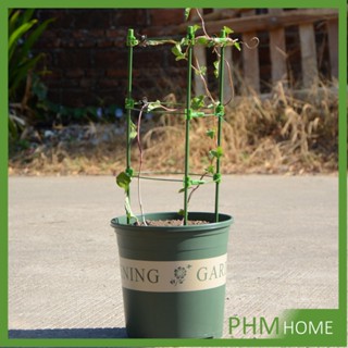 โครงเถาวัลย์ เสามะเขือเทศ โครงปลูก อุปกรณ์สำหรับพืชไม้เลื้อย 45cm 60cm plant trellis