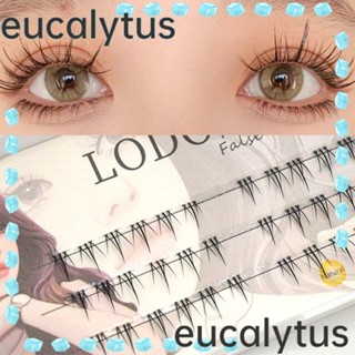 Eucalytus1 ขนตาปลอม แฮนด์เมด 3 คู่