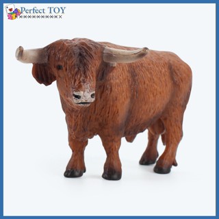 Pst โมเดลฟิกเกอร์ รูปวัวจําลอง Highland Cattle เหมือนจริง ของเล่นสําหรับเด็ก เก็บสะสม ของขวัญ