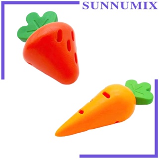 [Sunnimix] ลูกบอลของเล่นเคี้ยวอาหาร แบบพกพา ขนาดเล็ก กลาง และใหญ่ สําหรับฝึกสัตว์เลี้ยง สุนัข