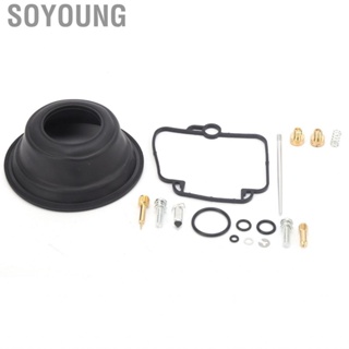 Soyoung carburetor tool adjustment Carburetor Rebuild Kit Carb Overhaul  Fit for Suzuki DR350 Goose350 Single