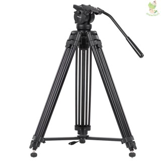 Kingjoy VT-2500 Professional Mg-Al ชุดขาตั้งกล้องวิดีโออัลลอยด์ 360°หัวบอลน้ํามัน พาโนรามา สําหรับกล้อง 8.9