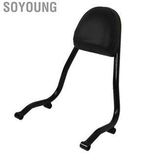 Soyoung Passenger Backrest Cushion Pad Simple Installation Rear Back Rest for Motorcycle