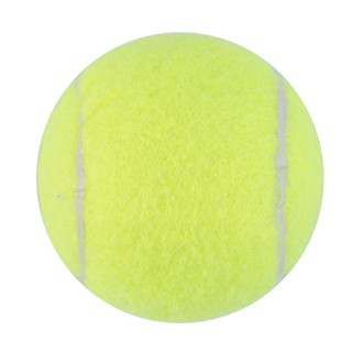 Tennis Ball Sports Tournament Outdoor Fun Cricket Beach Dog Activity Game Toy