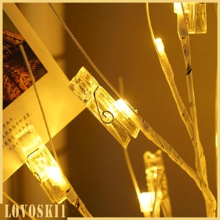 [Lovoski1] โคมไฟกลางคืน LED พร้อมคลิป สําหรับตกแต่งบ้าน ห้องนอน ต้นคริสต์มาส งานแต่งงาน พิธีขึ้นบ้านใหม่