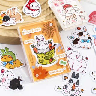 Jianwu สติกเกอร์กระดาษ ลายกระต่าย Miemie Series Kawaii DIY สําหรับตกแต่งเครื่องเขียน 30 แผ่น