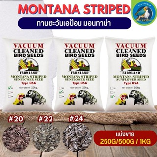 A-pom ทานตะวัน เอป้อม MONTANA#20 22 24 (แบ่งขาย 250G/500G/1KG) สำหรับนกและสัตว์ฟันแทะ