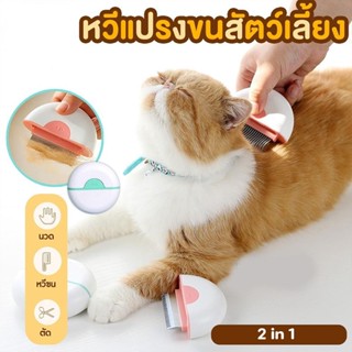 พร้อมส่ง🐱🐱2 in 1 หวีสัตว์เลี้ยงรูปทรงเปลือกหอย แปรงสัตว์เลี้ยง