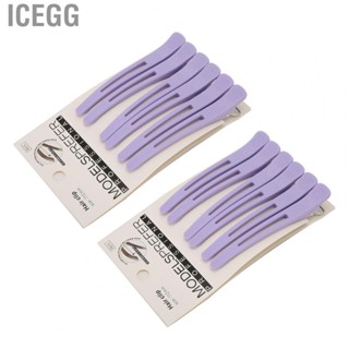 Icegg Hair Styling Clips  Slip Sectioning Hairpins for Salon