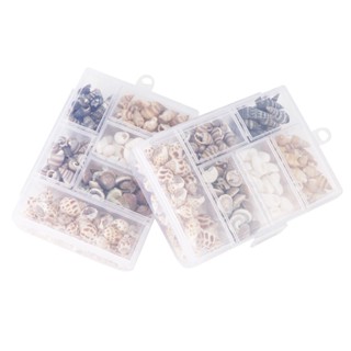 2 Boxes Wedding Wall Art DIY Party Bottle Charms Collectibles Candle Making 200g Sea Snails 6 Kinds Tiny Shells