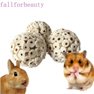 FALLFORBEAUTY ของเล่นไม้ธรรมชาติ สําหรับนกแก้ว