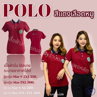 เสื้อโปโล สีแดงเลือดหมู