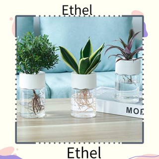 Ethel1 แจกันต้นไม้ไฮโดรโปนิก ทรงกลม เรียบง่าย สําหรับปลูกต้นไม้ 2 ชิ้น