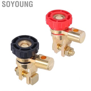 Soyoung Disconnect Switch  Power Shut‑off Anti‑Theft Universal Terminal for Vehicles Boat