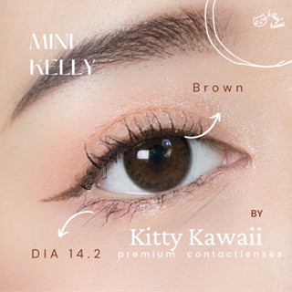 ไม่แถมตลับ Kelly Brown (มินิ) คอนแทคเลนส์ Kitty Kawaii