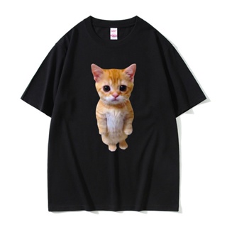 เสื้อยืด พิมพ์ลายกราฟฟิคแมว Munchkin Kitty Meme สําหรับผู้ชาย