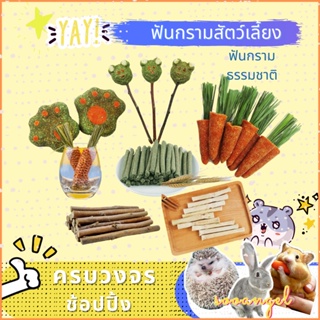 【sooangel】 พร้อมส่ง!!หนูแฮมสเตอร์กัดฟันเลือกสินค้าแอปเปิ้ลกิ…