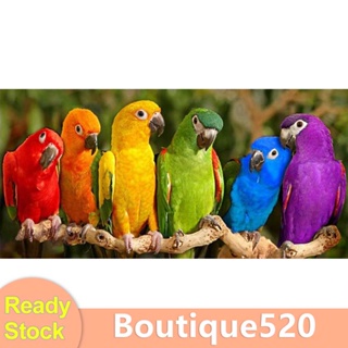 [boutique520.th] ด้ายผ้าฝ้าย ปักครอสสติตช์ พิมพ์ลายนกแก้ว สีสันสดใส DIY