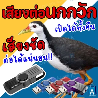 เสียงต่อนกกวัก แฟลชไดร์ฟเสียงต่อนกกวัก ต่อได้ผลแน่นอน เปิดได้ทั้งคืนยาว 12 ชม. [ALPHA BOX]