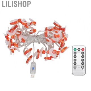 Lilishop 6m String Lights  Bee String  Lights 40 LEDs Warm Light UKB JY