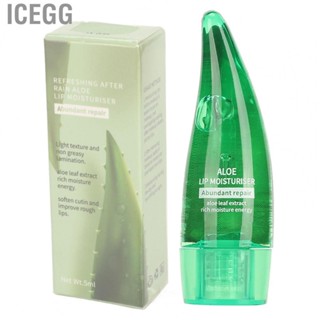 Icegg Moisturizer Aloe Vera Lip Oil  Portable Soften Cutin Silicone Brush Head for Cracked Mouth