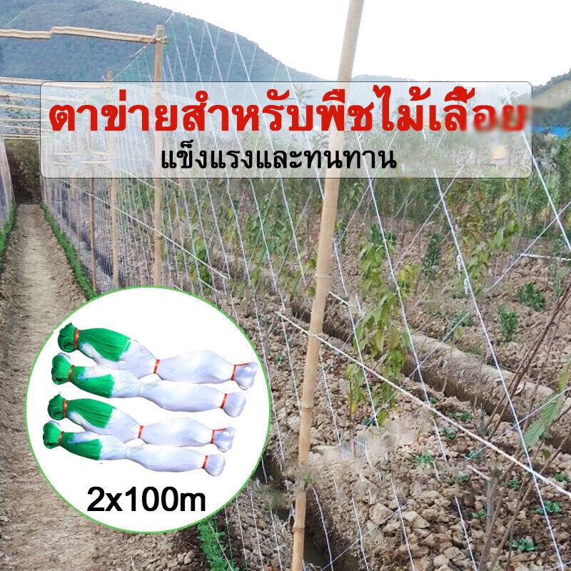 พร้อมส่ง💥(T013)โครงไม้เลื้อย ตาข่ายปลูกผัก อวนแตง ตะข่ายไนลอน ค้างผัก ต้นไม้เลื้อยตาข่ายไนล่อน ตาข่ายแตงกวา