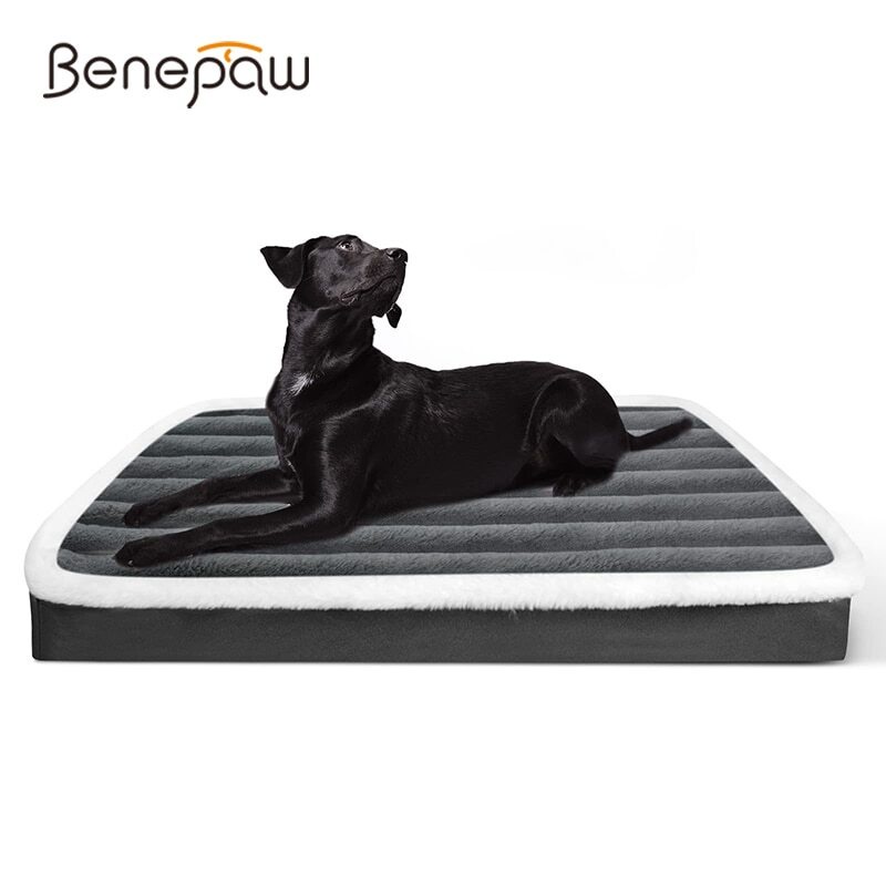 Benepaw เบาะที่นอนโฟม แบบนิ่ม กันลื่น ล้างทําความสะอาดได้ สําหรับสัตว์เลี้ยง สุนัข ขนาดเล็ก กลาง ใหญ่