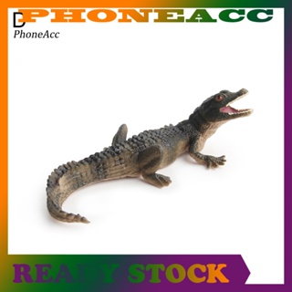 Phoneacc โมเดลฟิกเกอร์ PVC รูปสัตว์ป่า ของเล่นเสริมการเรียนรู้เด็ก