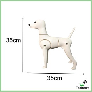 [ หุ่นจําลอง แบบมืออาชีพ สําหรับสัตว์เลี้ยง สุนัข