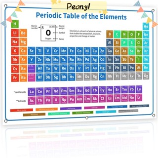 Pdony โปสเตอร์ติดผนัง ขนาด 40x60 ซม. (16X24 นิ้ว) เพื่อการศึกษา สําหรับตกแต่งบ้าน 1 ชิ้น