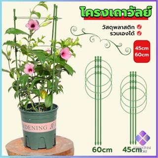 Mahathai โครงเถาวัลย์ เสามะเขือเทศ โครงปลูก อุปกรณ์สำหรับพืชไม้เลื้อย 45cm 60cm plant trellis